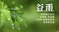 【二十四節(jié)氣灸】谷雨時節(jié)，用艾為您的健康加上一道保險！