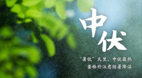 【三伏養(yǎng)生】至熱中伏，吃三樣，喝三樣，三大禁忌千萬別犯，小心落下病根！