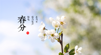 【二十四節(jié)氣灸】春分，平分了大地晝夜；艾灸，平衡了身體陰陽！
