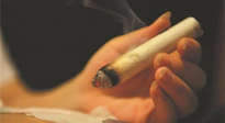 【艾灸知識(shí)】春暖花開，衣衫漸薄，再不減肥，身上的肉肉可藏不住了！