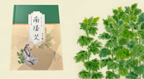 【行業(yè)資訊】國內(nèi)首部艾草專著《南陽艾》，在南陽新書首發(fā)！