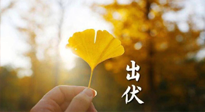 【艾灸三伏天】出伏啦！三防三宜兩穴位，防止身體“秋后算賬”！
