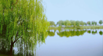 【艾灸知識(shí)】春三月，必艾灸穴位：疏肝理氣，養(yǎng)血調(diào)神！