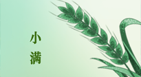 【二十四節(jié)氣灸】小滿節(jié)氣記得艾灸，悠悠長夏，健康度過！
